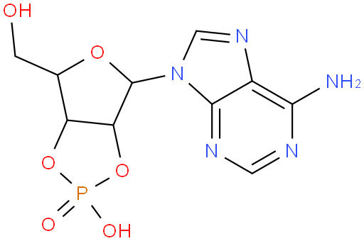 腺苷-2,3 -环状磷酸钠