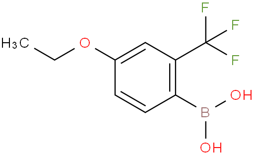 4-乙氧基-2-三氟甲基苯硼酸