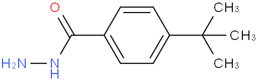 4-叔丁基苯甲酰肼