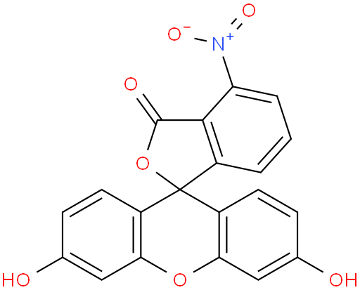 4-硝基荧光素